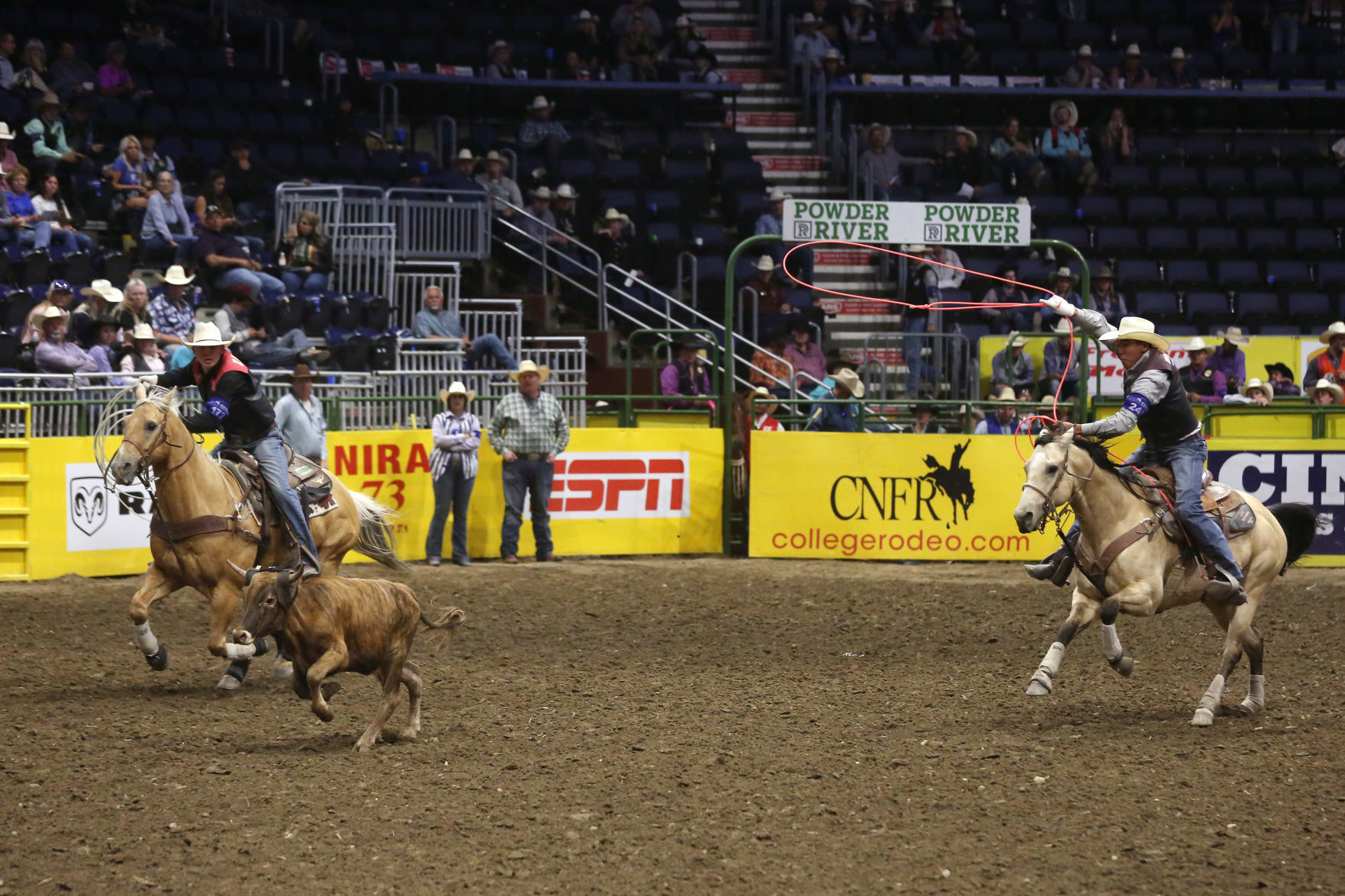 CNFR